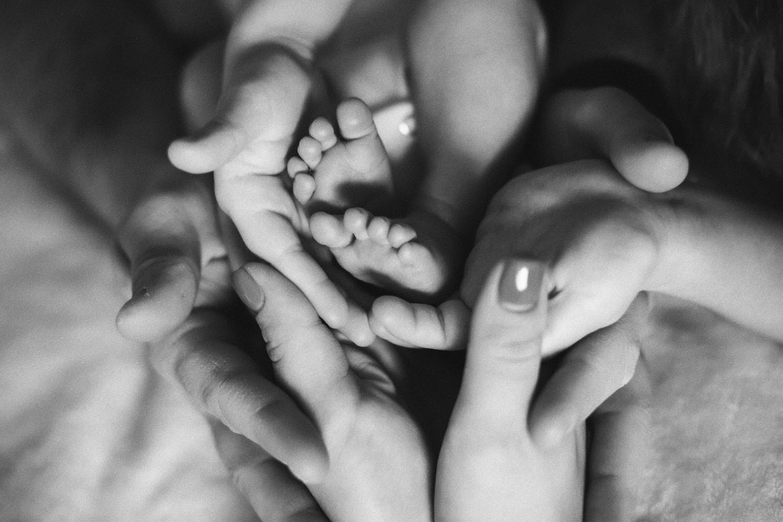 Newborn — photo 22