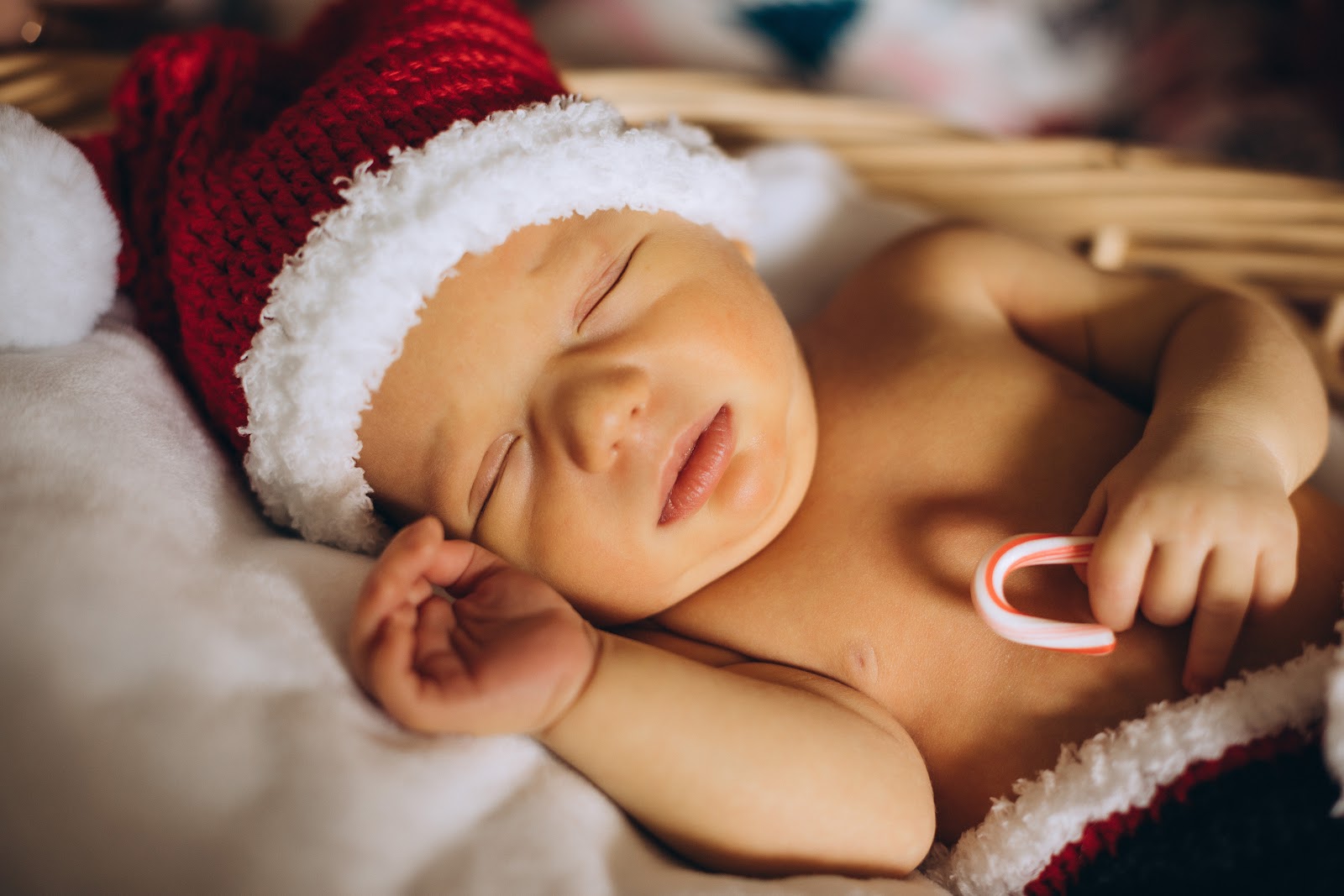 Newborn — photo 47