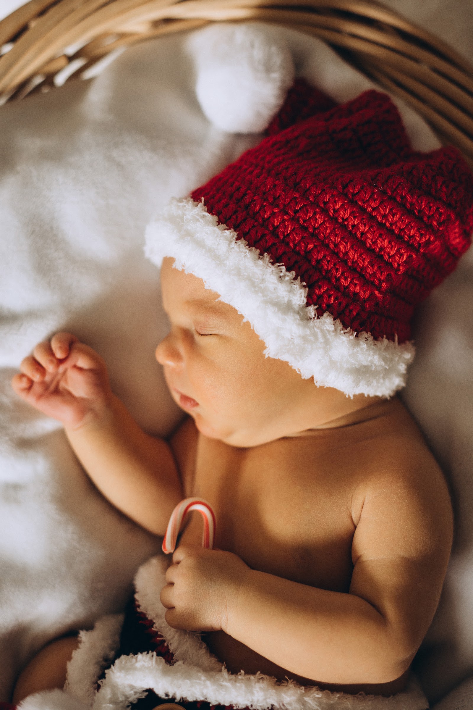 Newborn — photo 44